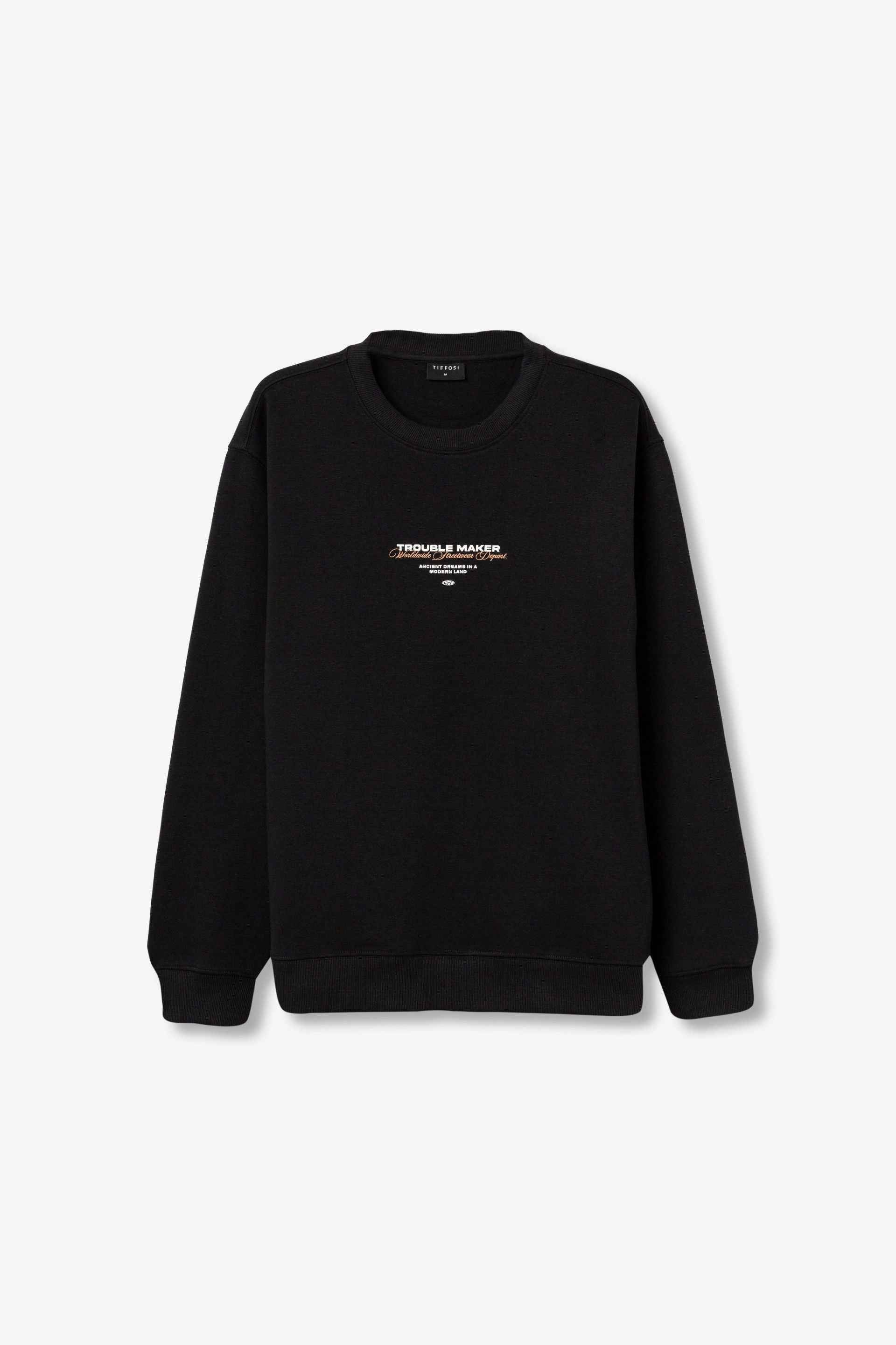 NEWTON SWEATSHIRT STREETWEAR STYLE - BEST CLOTHES