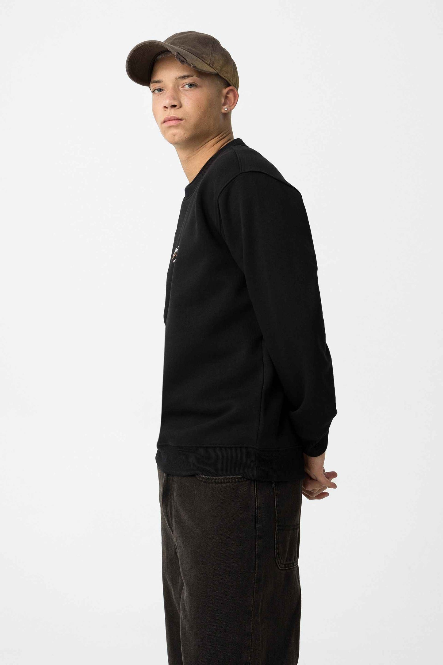 NEWTON SWEATSHIRT STREETWEAR STYLE - BEST CLOTHES